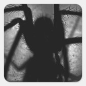 Arachne de Spin Sticker (Voorkant)
