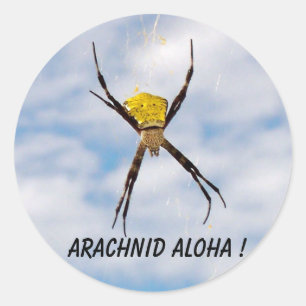 Arachnid Aloha Hawaiian Garden Spider Ronde Sticker