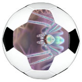 Arachnid Huntsman Spider Fractal Art, Voetbal (Gedraaid)