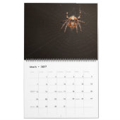 Arachnid Snare Kalender (Mar 2027)