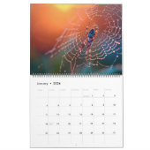 Arachnid Snare Kalender (Jan 2026)