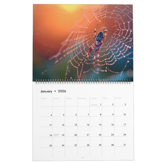 Arachnid Snare Kalender (Jan 2026)