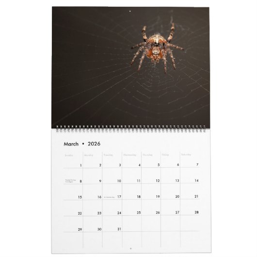 Arachnid Snare Kalender (Mar 2026)
