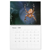 Arachnid Snare Kalender (Feb 2026)
