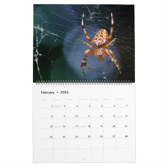 Arachnid Snare Kalender (Feb 2026)