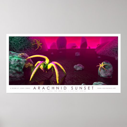 Arachnid Sunset Poster (Voorkant)