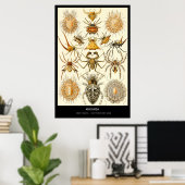 Arachnida - Bord 58 - Kunstformen der Natur Poster (Thuiskantoor)