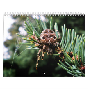 Arachnida Kalender