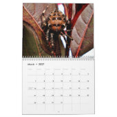 Arachnida Kalender (Mar 2027)