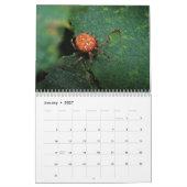 Arachnida Kalender (Jan 2027)