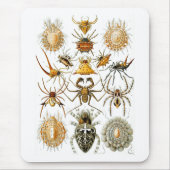 Arachnida (Spiders), Ernst Haeckel Fine Art Muismat (Voorkant)
