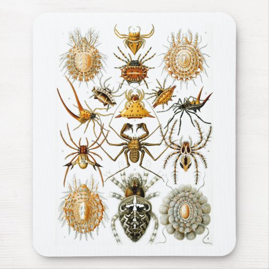 Arachnida (Spiders), Ernst Haeckel Fine Art Muismat (Voorkant)