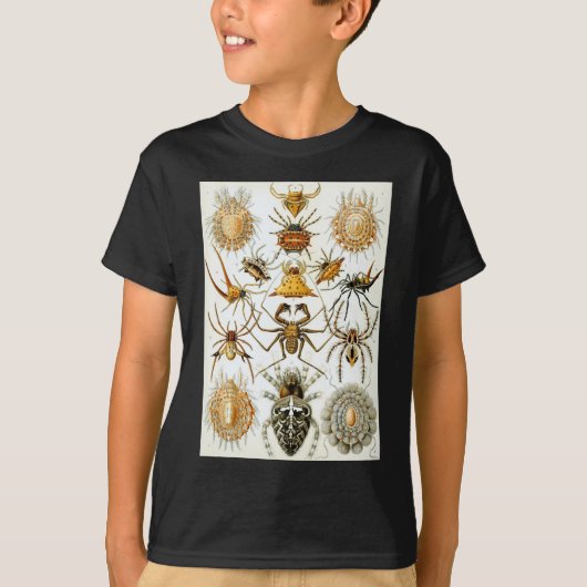 Arachnida Spiders van Ernst Haeckel T-shirt (Voorkant)