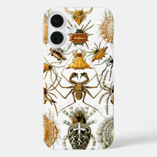 Arachniden door Ernest Haeckel  illustratie iPhone 16 Hoesje