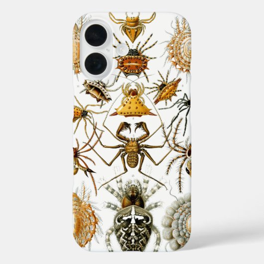Arachniden door Ernest Haeckel  illustratie Case-Mate iPhone Case (Achterkant)