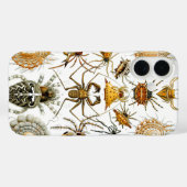 Arachniden door Ernest Haeckel  illustratie Case-Mate iPhone Case (Achterkant (horizontaal))