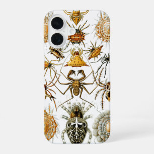 Arachniden door Ernest Haeckel  illustratie iPhone 16 Hoesje