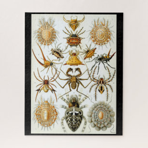 Arachniden door Ernest Haeckel  illustratie Legpuzzel