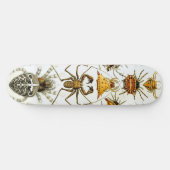 Arachniden door Ernest Haeckel  illustratie Persoonlijk Skateboard (Horizontaal)