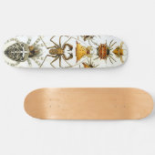 Arachniden door Ernest Haeckel  illustratie Persoonlijk Skateboard (Horizontaal)