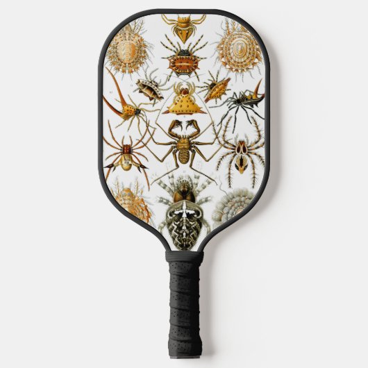 Arachniden door Ernest Haeckel illustratie Pickleball Paddle (Voorkant)