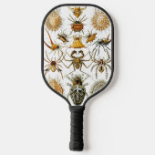 Arachniden door Ernest Haeckel illustratie Pickleball Paddle (Achterkant)
