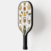 Arachniden door Ernest Haeckel illustratie Pickleball Paddle (Links)