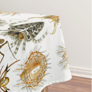 Arachniden door Ernest Haeckel  illustratie Tafelkleed