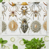 Arachniden door Ernest Haeckel  illustratie Theedoek (Gevouwen)