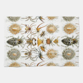Arachniden door Ernest Haeckel  illustratie Theedoek (Horizontaal)