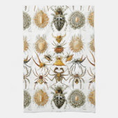 Arachniden door Ernest Haeckel  illustratie Theedoek (Verticaal)