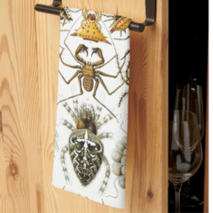 Arachniden door Ernest Haeckel  illustratie Theedoek