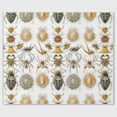 Arachniden door Haeckel  spinnenillustratie Cadeaupapier (Vlak)
