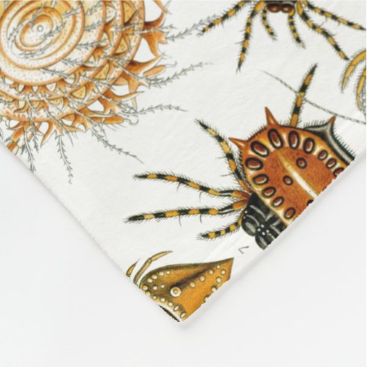 Arachniden door Haeckel  spinnenillustratie Fleece Deken