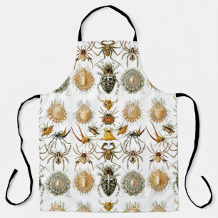 Arachniden door Haeckel  spinnenillustratie Schort