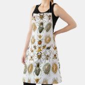 Arachniden door Haeckel  spinnenillustratie Schort (Insitu)