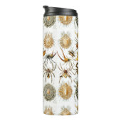 Arachniden door Haeckel  spinnenillustratie Thermosbeker (Geroteerd rechts)