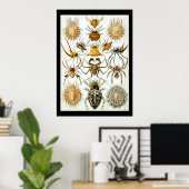 Arachniden door het poster Ernest Haeckel (Thuiskantoor)