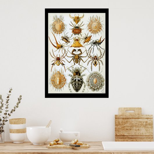 Arachniden door het poster Ernest Haeckel (Keuken)