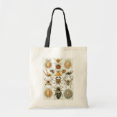 Arachniden van Ernst Haeckel,  Spinnen Tote Bag (Voorkant)
