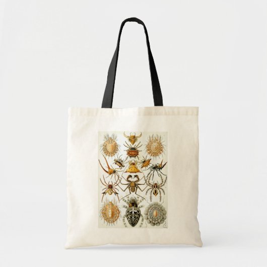 Arachniden van Ernst Haeckel,  Spinnen Tote Bag (Voorkant)
