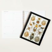 Arachnids van Ernest Haeckel vintage poster Planner (Display)