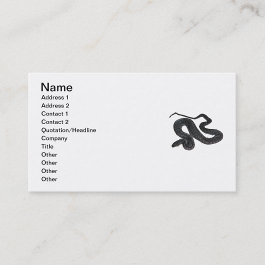 Arafura File Snake Visitekaartje (Voorkant)