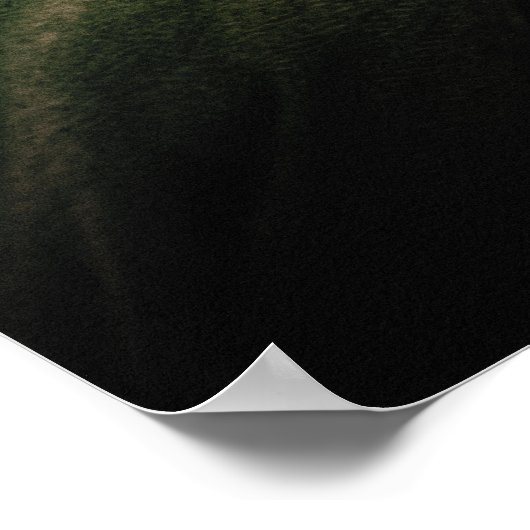 Aragorn gaat dicht poster (Hoek)