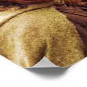 Aragorn Plus-lijn voor paarden Poster (Hoek)