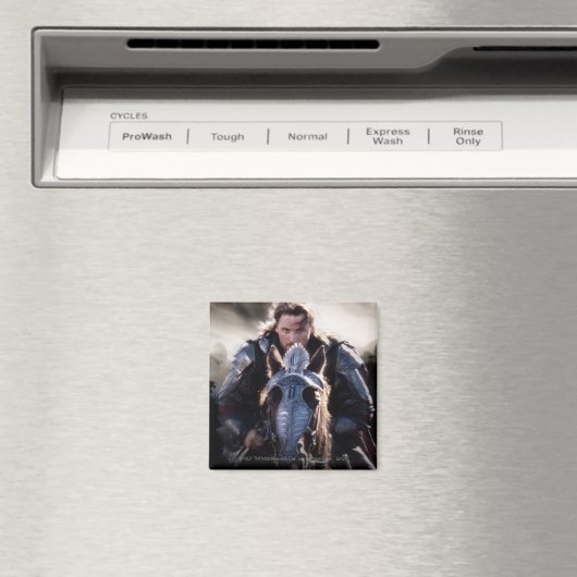 Aragorn Riding Horse Magneet (Insitu (Vaatwasser))