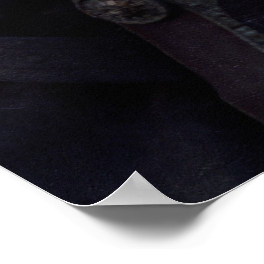 Aragorn with blood poster (Hoek)