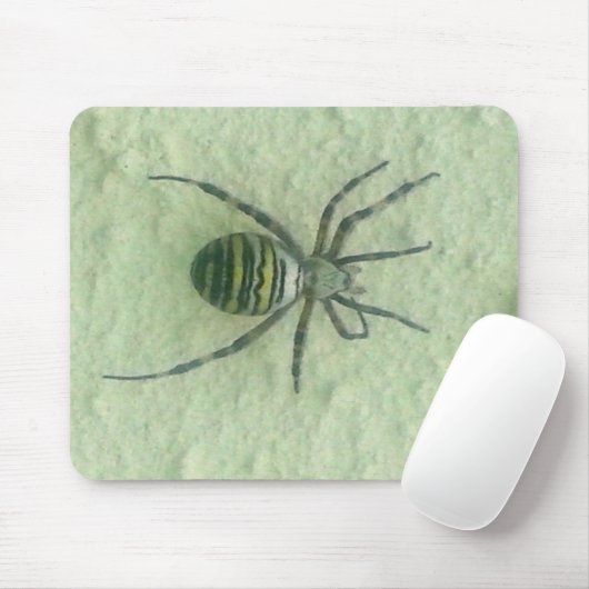 Araignespin Muismat (Met muis)
