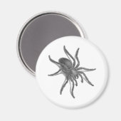 Aranea Avicularia, zwarte Cubaanse spin Magneet (Voorkant / Achterkant)
