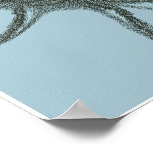 Aranea Avicularia, zwarte Cubaanse spin Poster (Hoek)